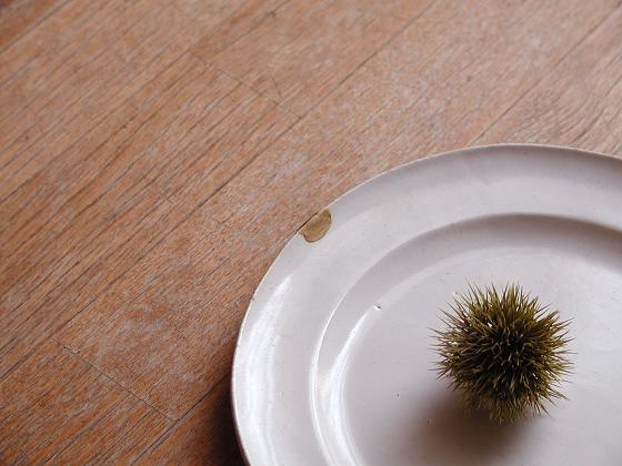 chestnut