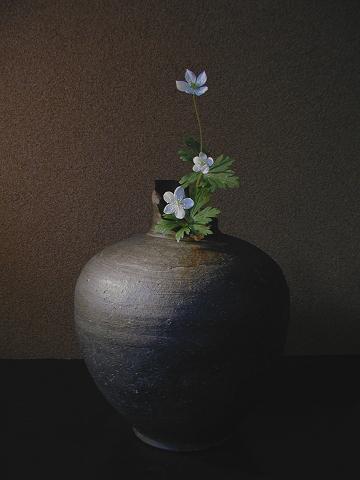 誕生日だわ 二輪草