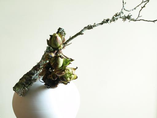 梅と蕗の薹